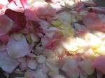 Rose Petal Preserves 3